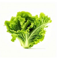 *Green Lettuce - (250gms, Satva Farm)